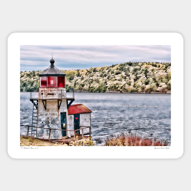 Squirrel Point Light Sticker by BeanME